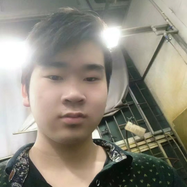 羊认真的照片
