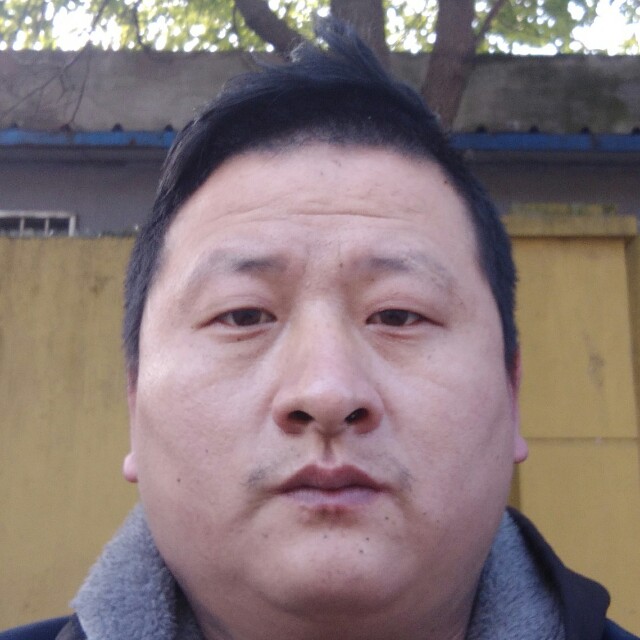 猫咪停止漠然的照片
