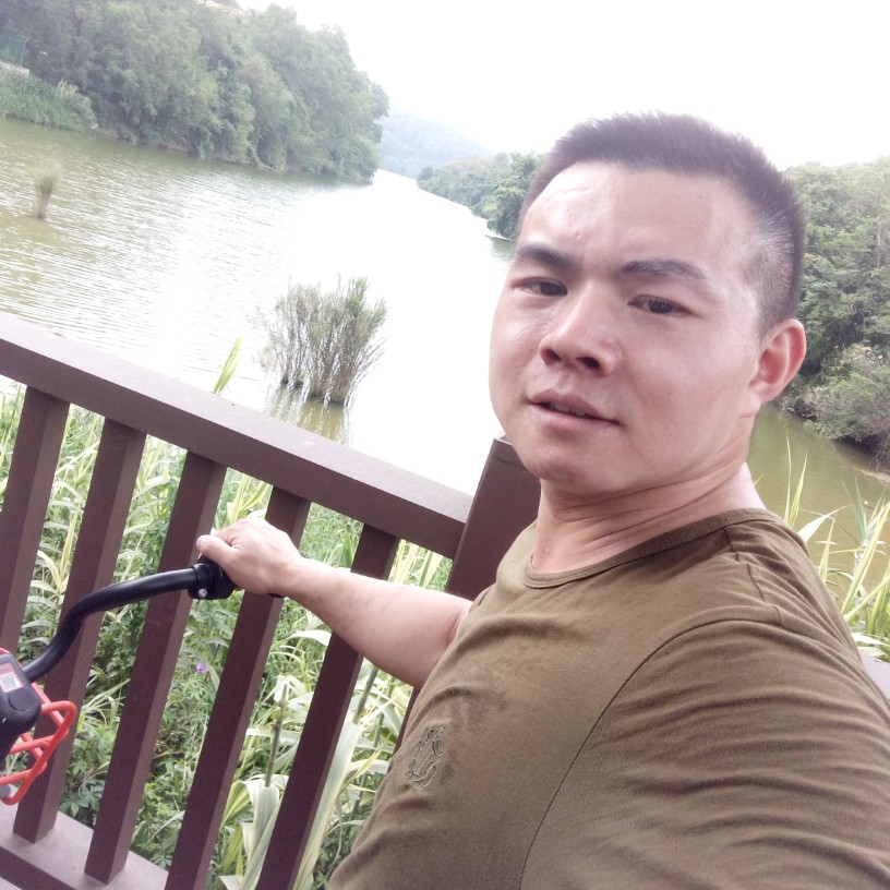 含糊回首河马的照片