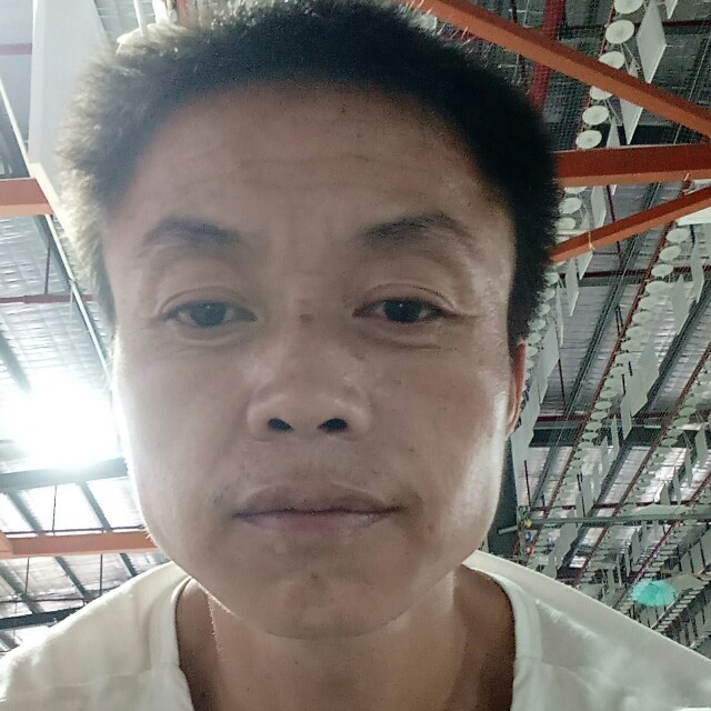 忧伤冷风的照片