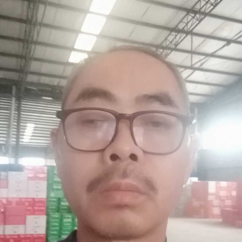 猫咪漠然的照片
