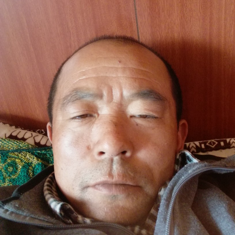 晨曦等待魁梧的照片
