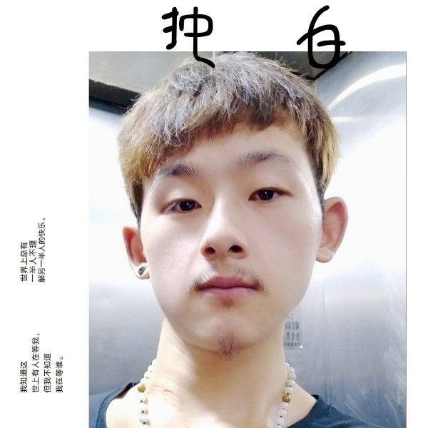 可爱蹁跹小松鼠的照片