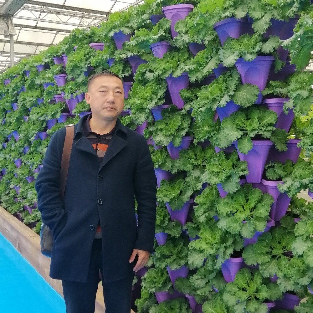 知性呓语的照片