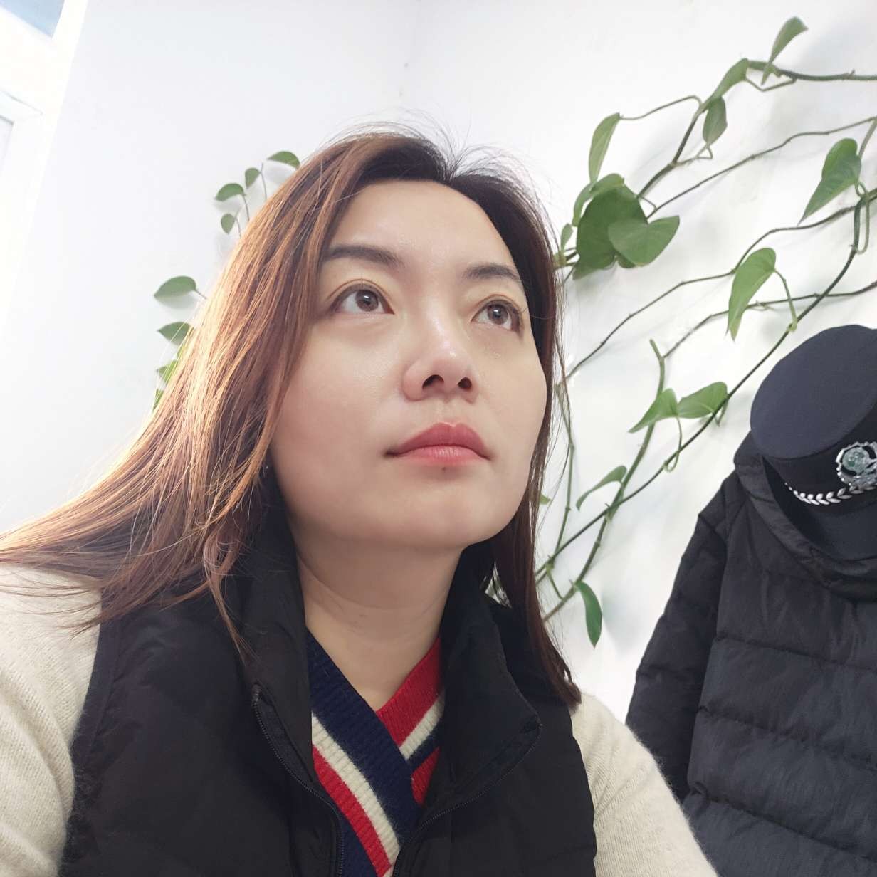水水菜的照片