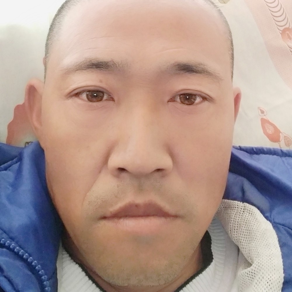 醉梦还无限的照片