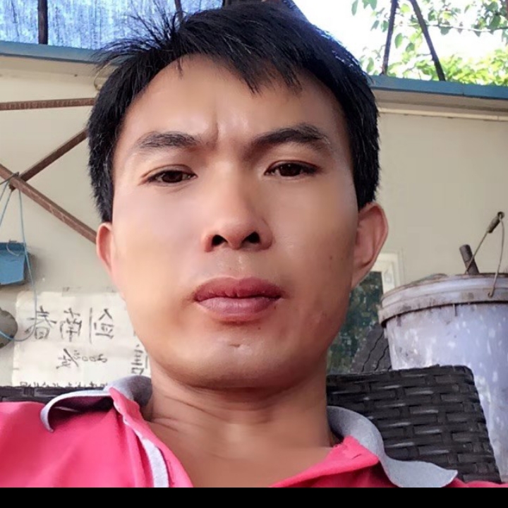 蜜蜂冷酷的照片
