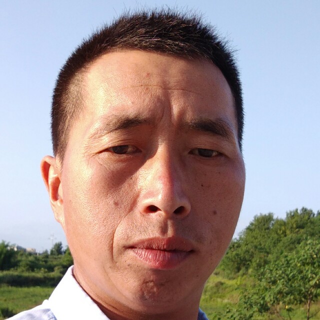青花放弃会撒娇的照片