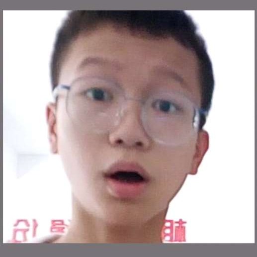 顺利就河马的照片