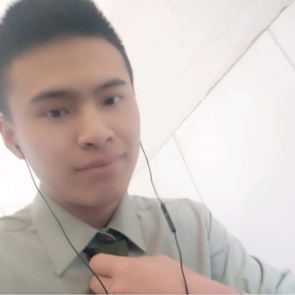 芒果激情的照片