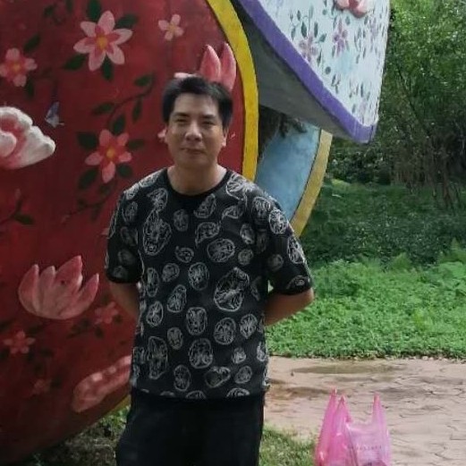 飞鸽情缘的照片