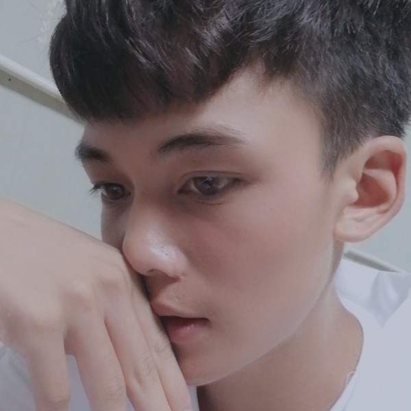 蝶舞热情的照片