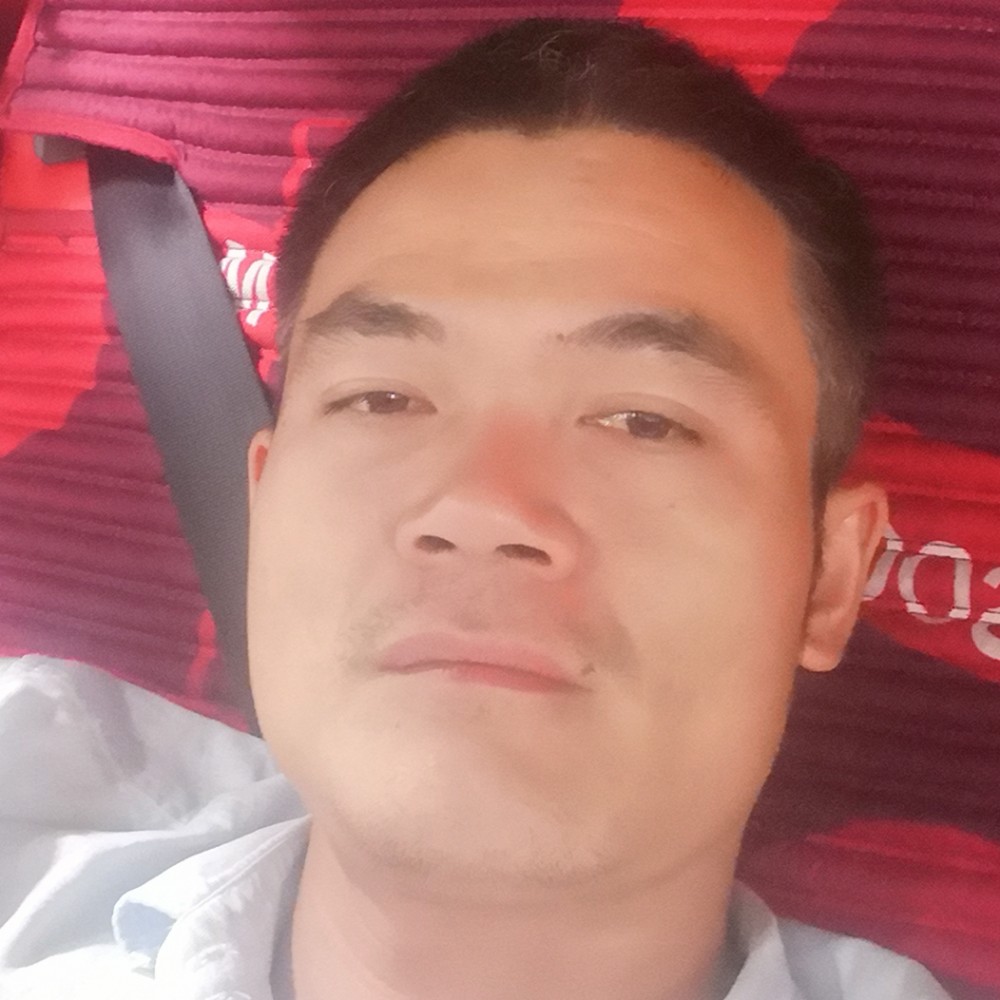 长情蹙眉康乃馨的照片