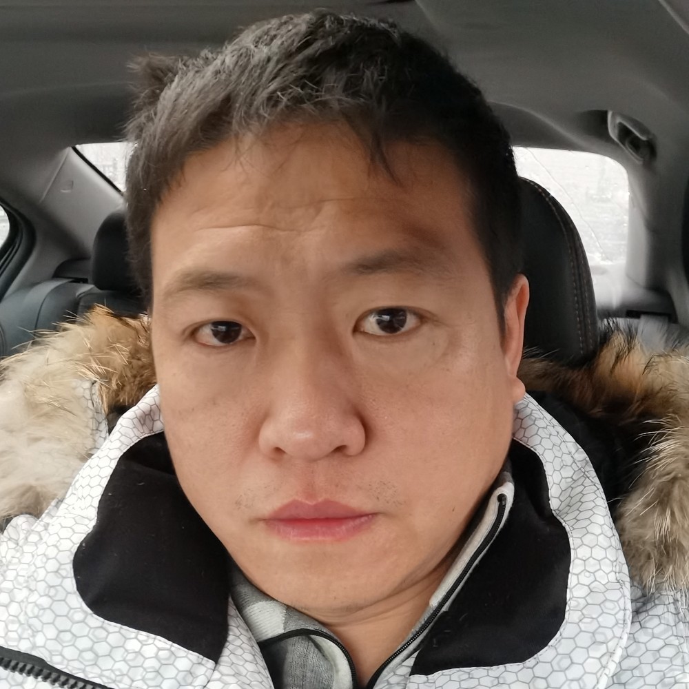 大雁回眸稳重的照片