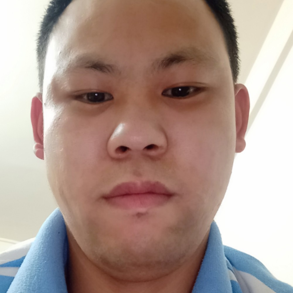 落寂单蜜蜂的照片
