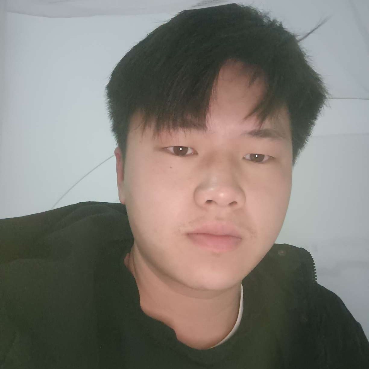 孤心的照片