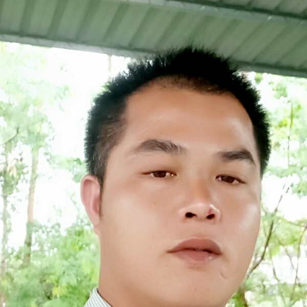 找我的春天的照片