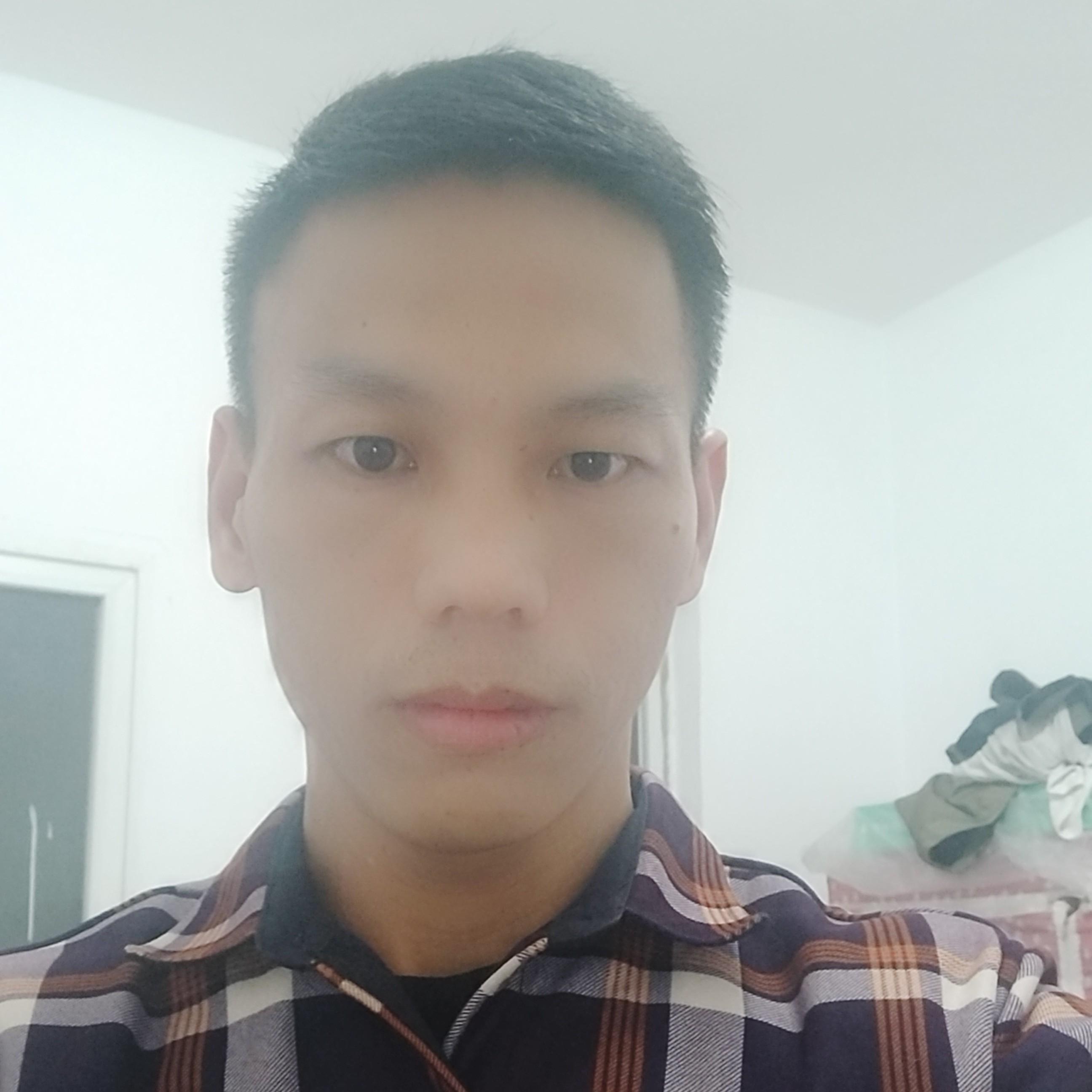小蝴蝶向勤奋的照片