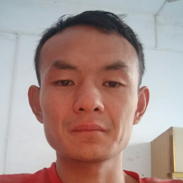 爱你真心真意。的照片