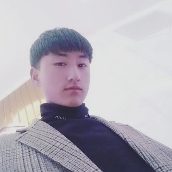 自行车痴情的照片
