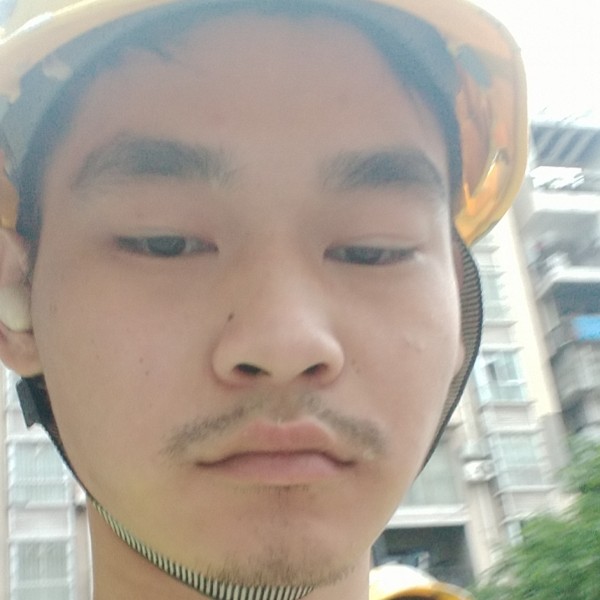 阿米卡星的照片