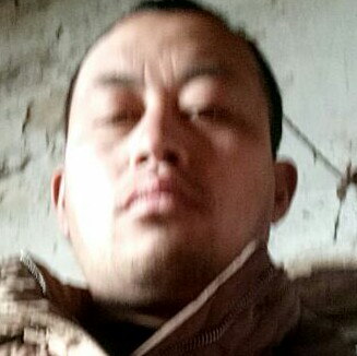 矮小长颈鹿的照片
