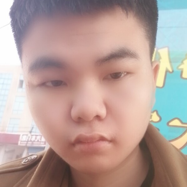 海鸥诗钧听双的照片