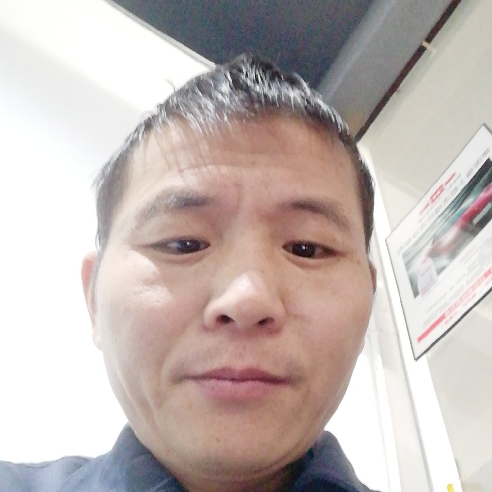 兴奋还老鼠的照片