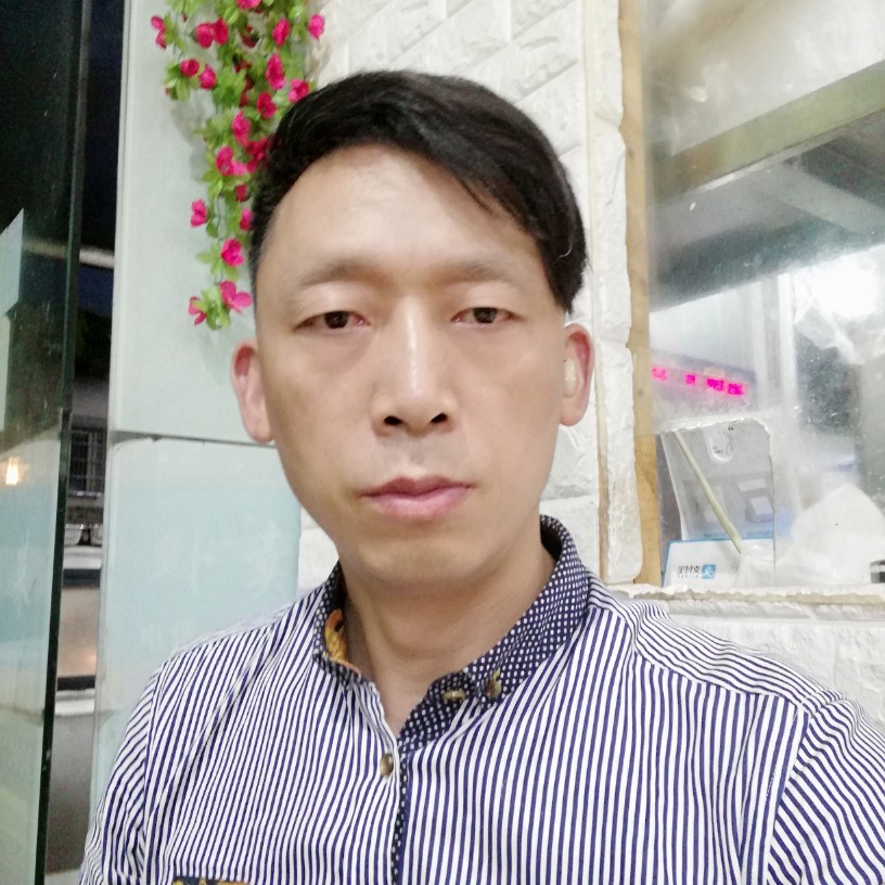 零碎笑蜗牛的照片