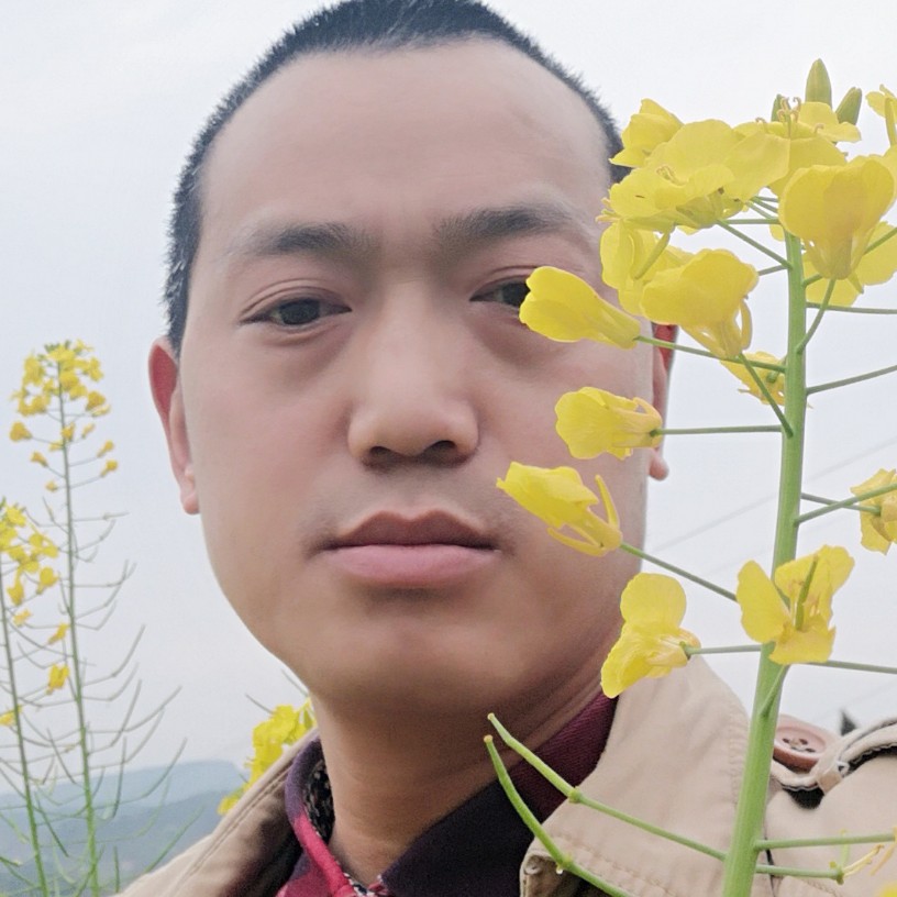 天下姻缘的照片