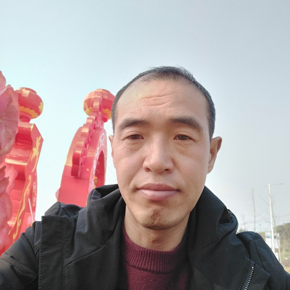 野性黄豆的照片