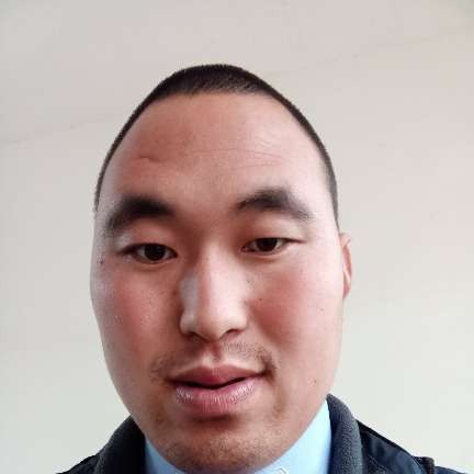鲜花方动人的照片
