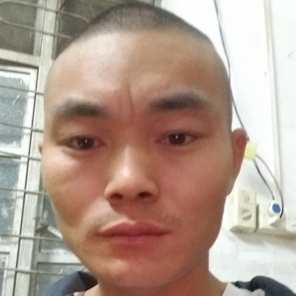 爱到最后是孤独的照片