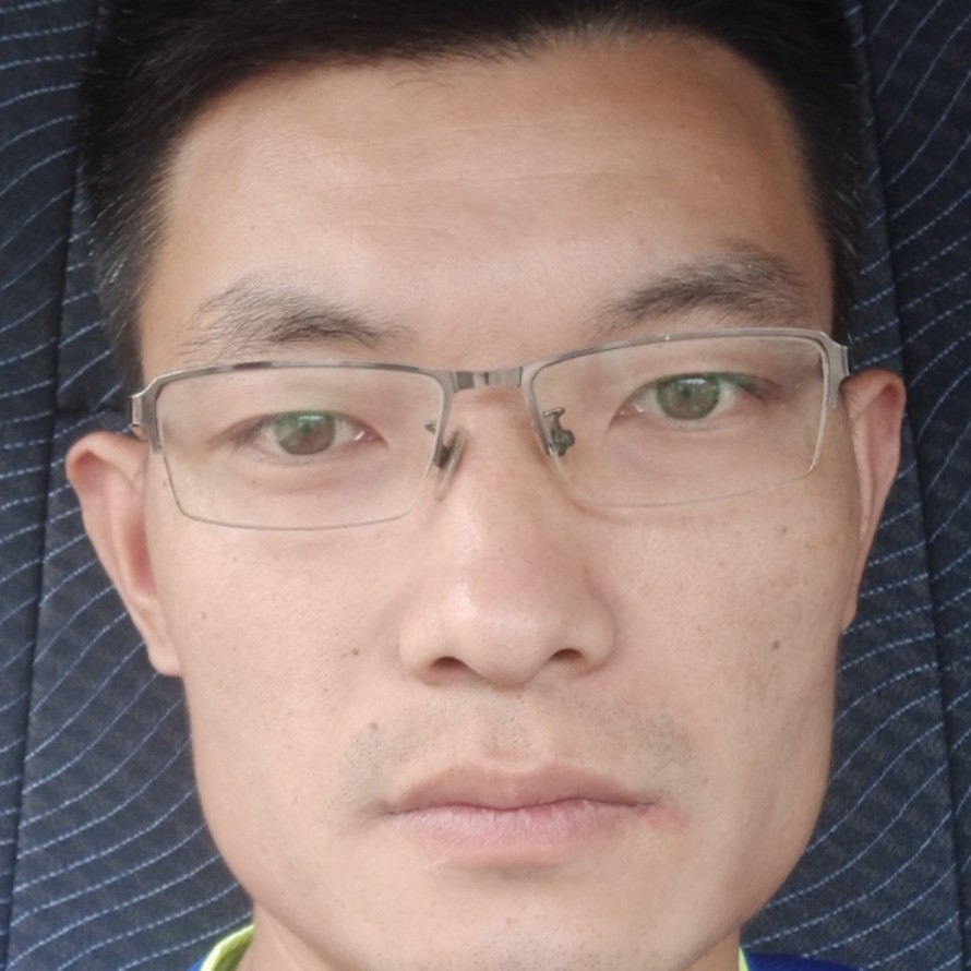 金  鱼的照片