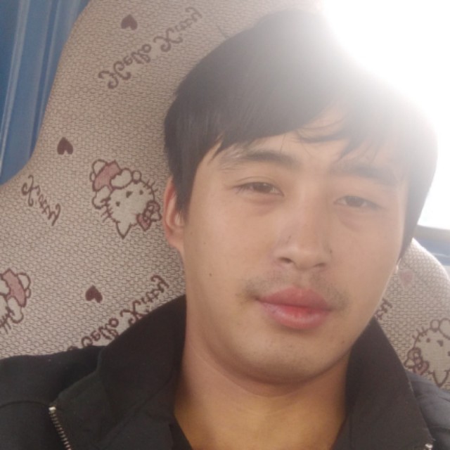 火星上漫步野狼的照片