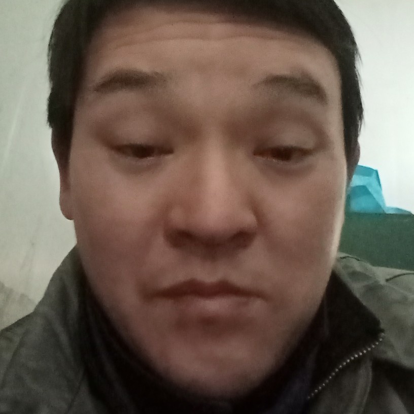 孤独的小虾的照片