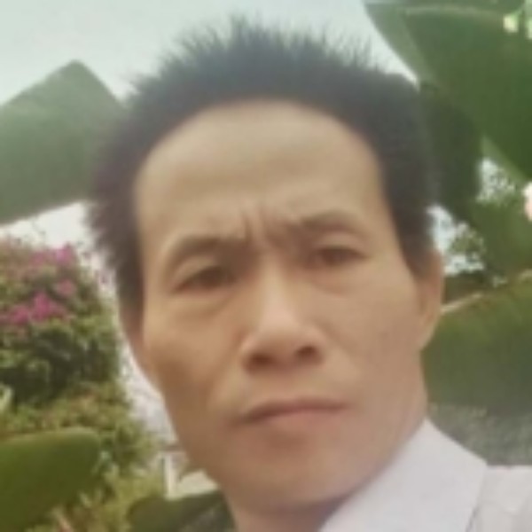 白猫壮观牛的照片