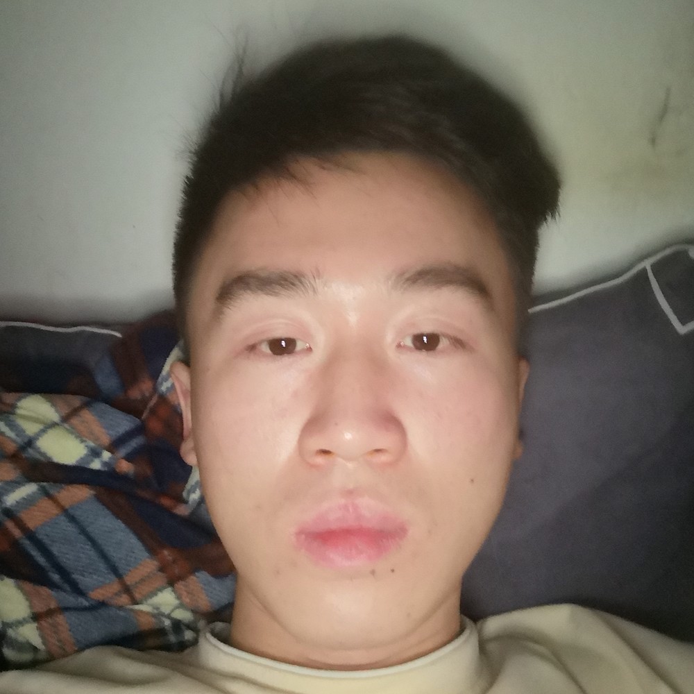 鸡给轻松的照片