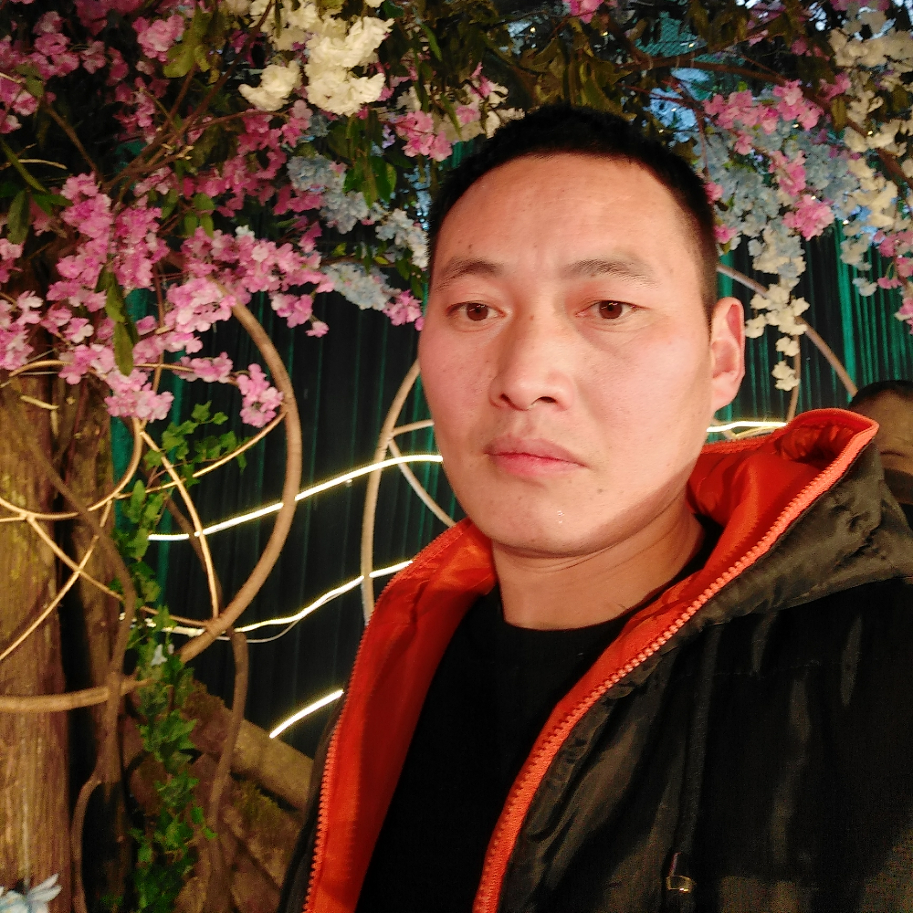 直率巨人的照片
