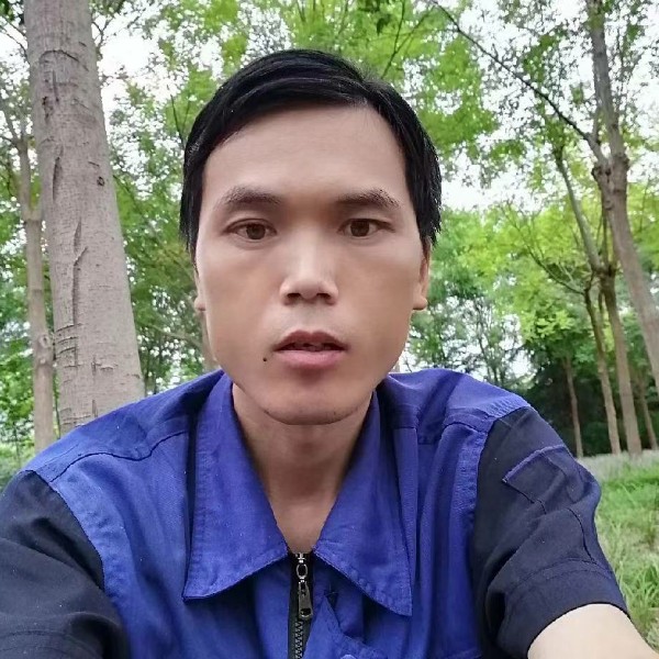 坚强单身狗的照片