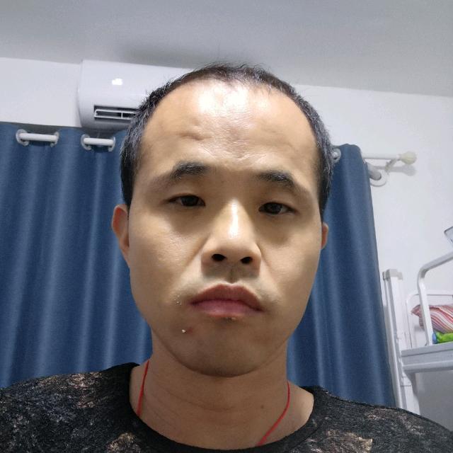 小猫咪苦恋美满的照片