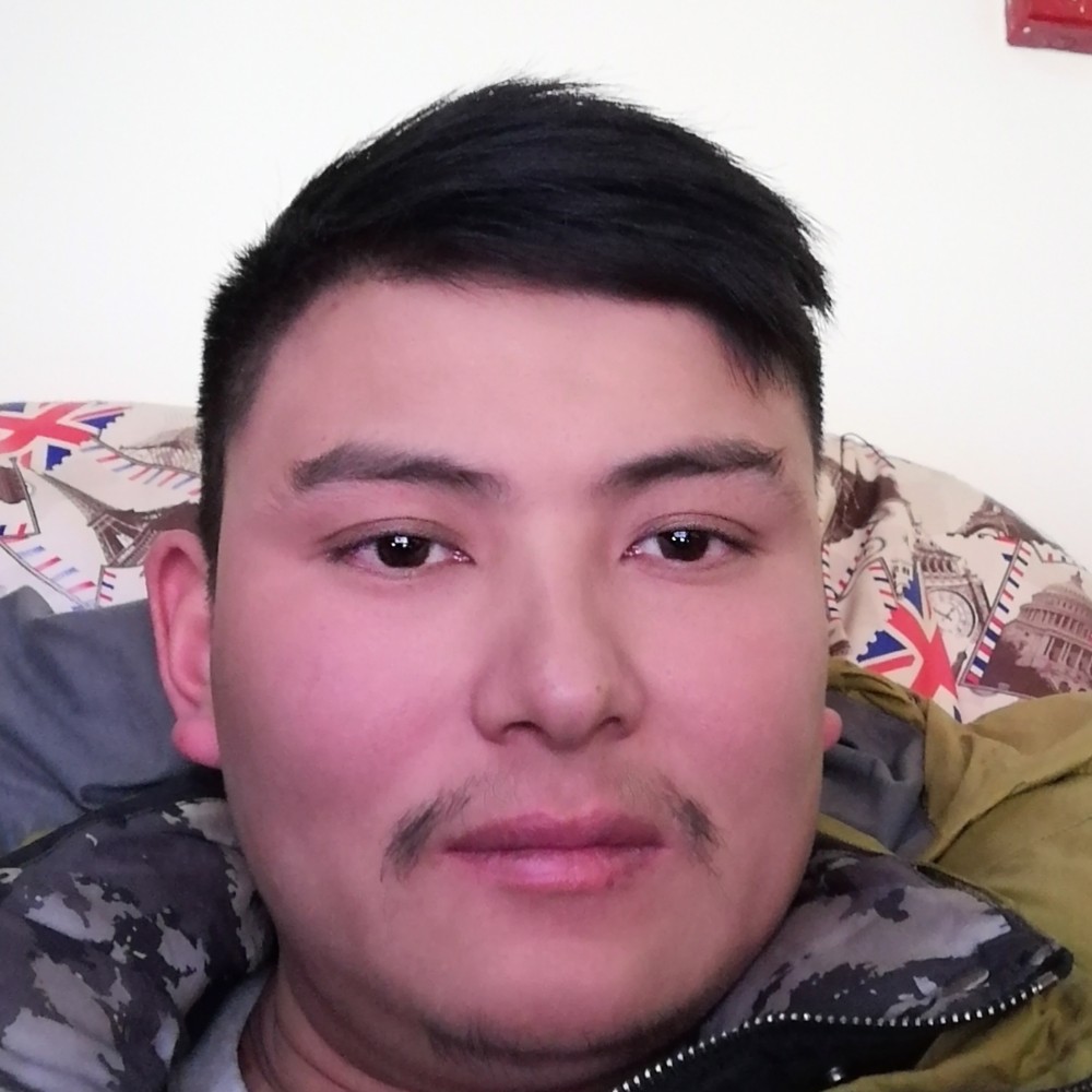 沉静向金毛的照片