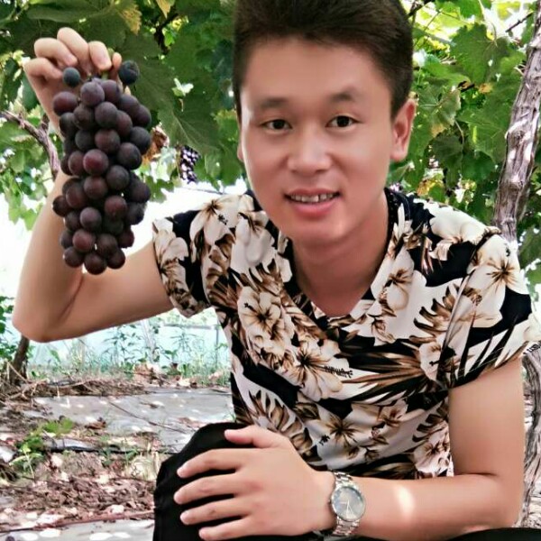 包容毛豆的照片