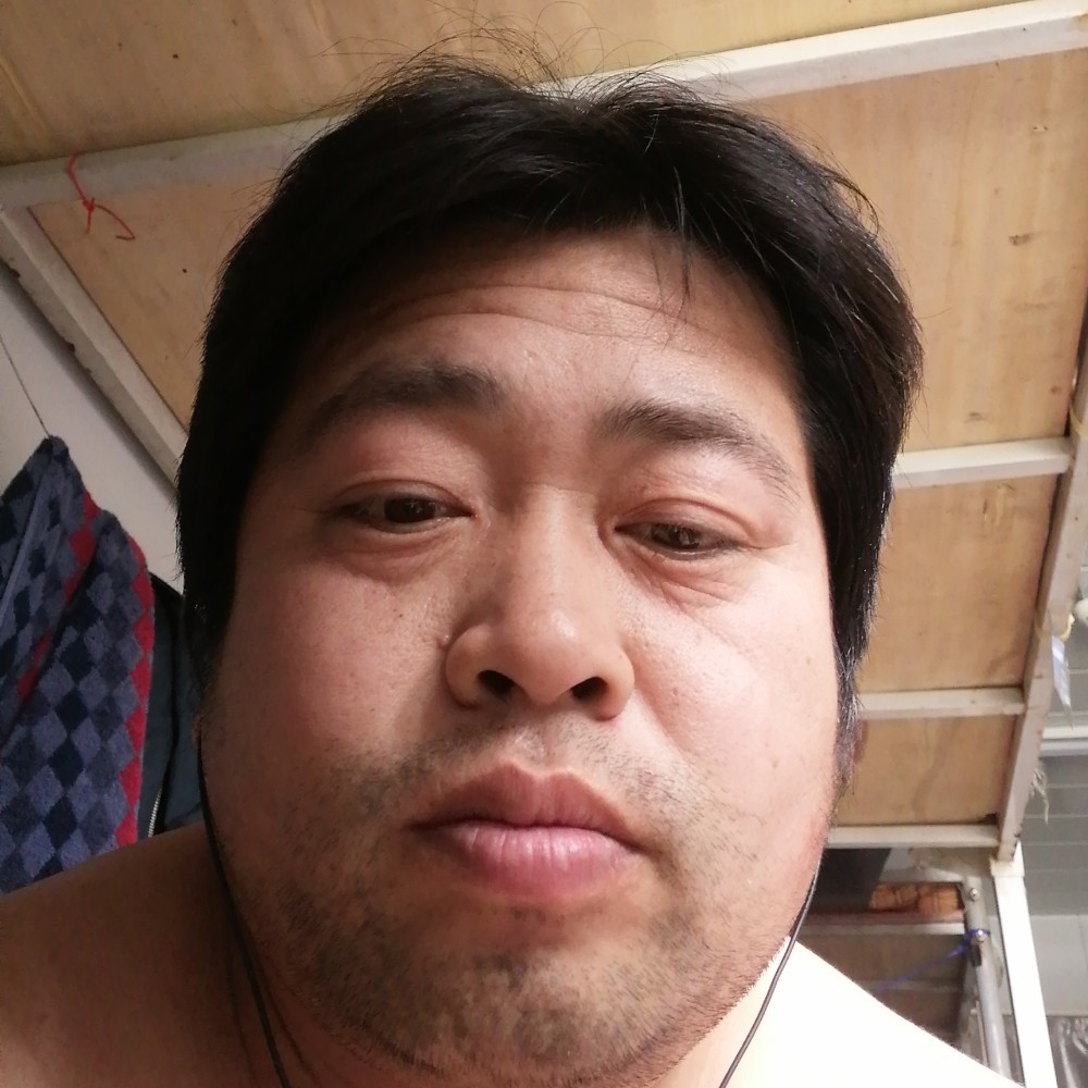 大雁酷酷的照片