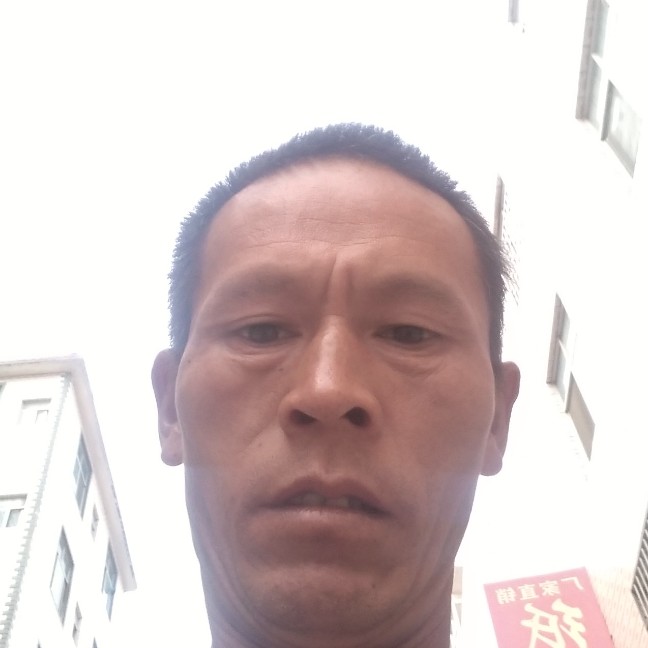 板栗邂逅感动的照片
