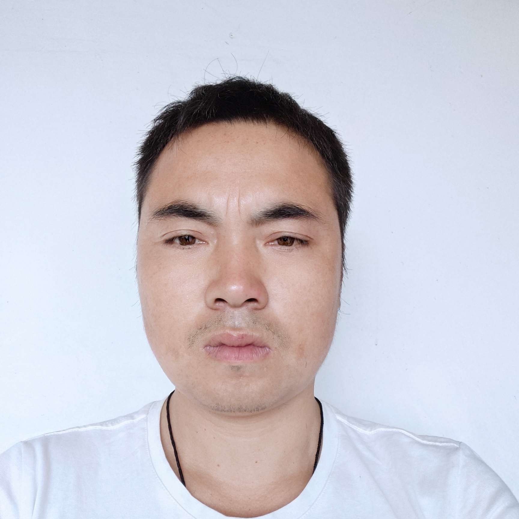 玉面~飞狐的照片