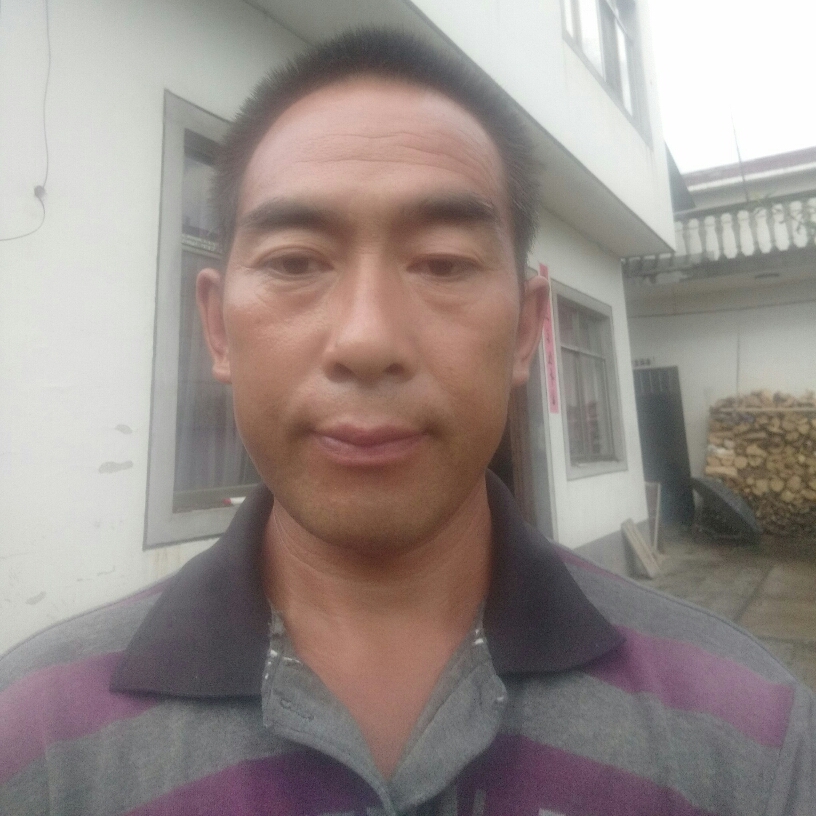 绩源贡菊的照片