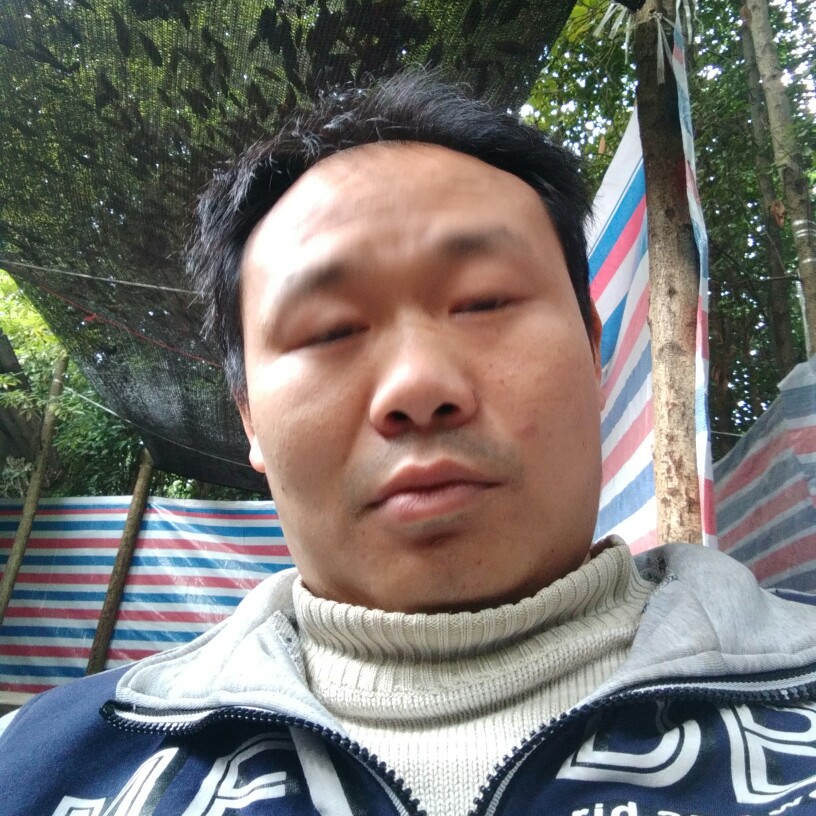 友好帆布鞋的照片