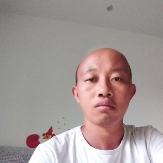 光头强找媳妇儿的照片