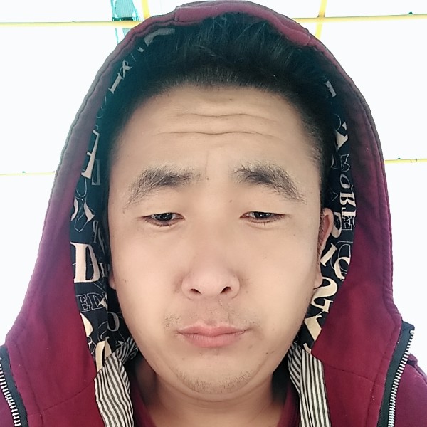 洋葱高高的照片